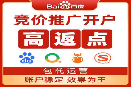 百度竞价代运营的成功案例：从零到一的突破